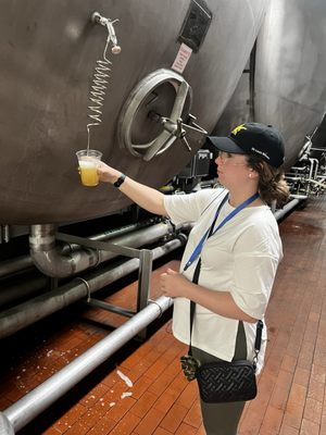 Anheuser-Busch St. Louis Brewery by null