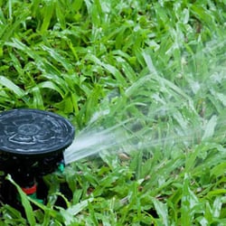 Stauffer Lawn & Landscape