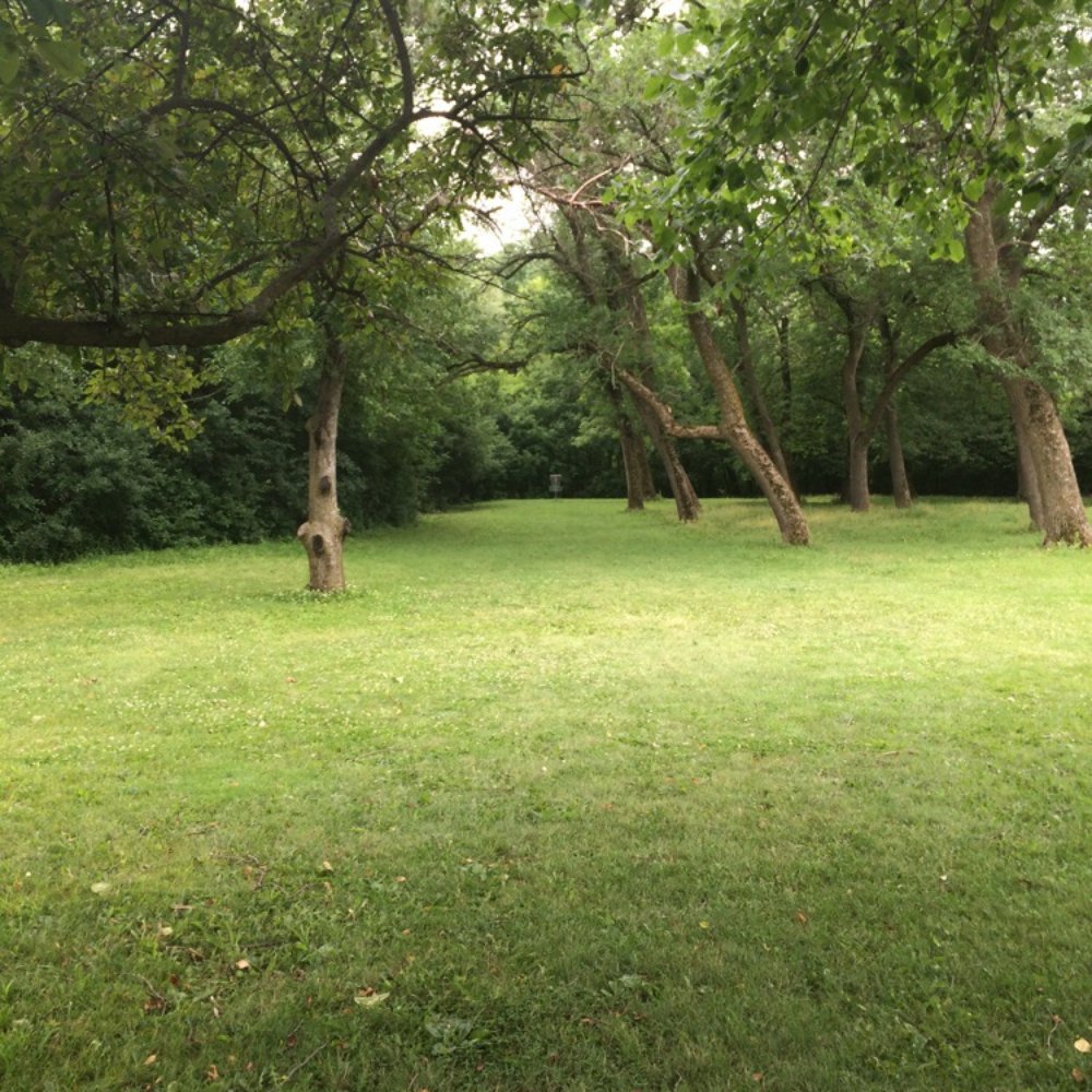 Root River Disc Golf Course - Careful on this throw. Right behind those trees is a lot of River. - Parks Near Me - Greendale, Wisconsin Root River Disc Golf Course - Careful on this throw. Right behind those trees is a lot of River. - Parks Near Me - Greendale, Wisconsin