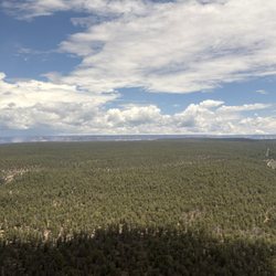 Papillon Grand Canyon Helicopters - Kaibab Forest