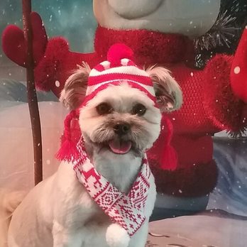 Gypsy Hill Pet Grooming Studio - Pet Groomers Near Me - Staunton, Virginia Gypsy Hill Pet Grooming Studio - Pet Groomers Near Me - Staunton, Virginia