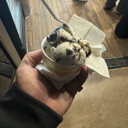 2 scoops 2 scoops