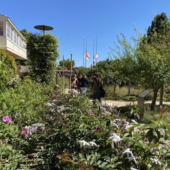 ALTA Bakery & Cafe - Beautiful gardens with many tables to enjoy your eats. - Cafes Near Me - Monterey, California ALTA Bakery & Cafe - Beautiful gardens with many tables to enjoy your eats. - Cafes Near Me - Monterey, California