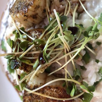 The Sweet Sap - Sea scallops with snap peas and creamy rice - New American Near Me - Flushing, New York The Sweet Sap - Sea scallops with snap peas and creamy rice - New American Near Me - Flushing, New York