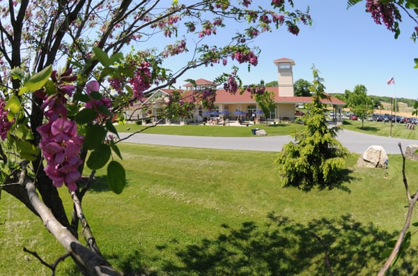 Clover Hill Vineyards & Winery by null