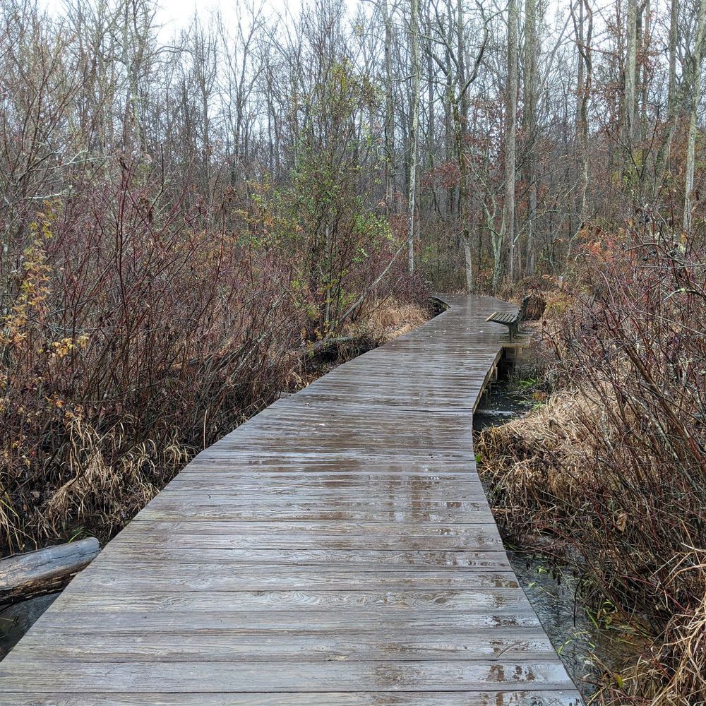 Haw River State Park - Wetlands boardwalk - Parks Near Me - Greensboro, North Carolina Haw River State Park - Wetlands boardwalk - Parks Near Me - Greensboro, North Carolina