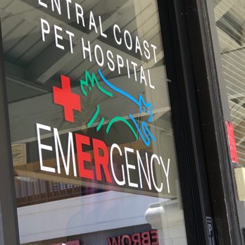 Arroyo Grande 24 Hour Vet Central Coast Surgery Vet Specialist