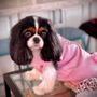 Photo of Malory Grooms