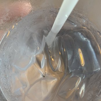 Pho Lover - A bug that was so deprived of flavor it decided to drown itself in our water - Vietnamese Near Me - Schaumburg, Illinois Pho Lover - A bug that was so deprived of flavor it decided to drown itself in our water - Vietnamese Near Me - Schaumburg, Illinois
