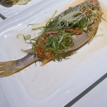 Array 36 - Chinese Near Me - San Gabriel, California Array 36 - Chinese Near Me - San Gabriel, California