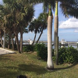 Pahokee Main Street - View of the marina.