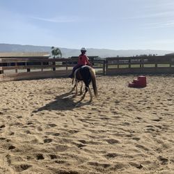 Lone Oak Equestrian Center - Outdoor arena.