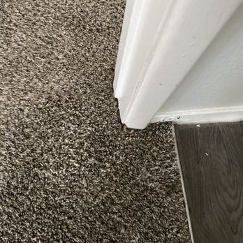 CarePro Services - Carpet Installation Near Me