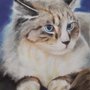 Photo of Drawn2Art - San Diego