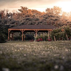 Maple Ridge Vineyard