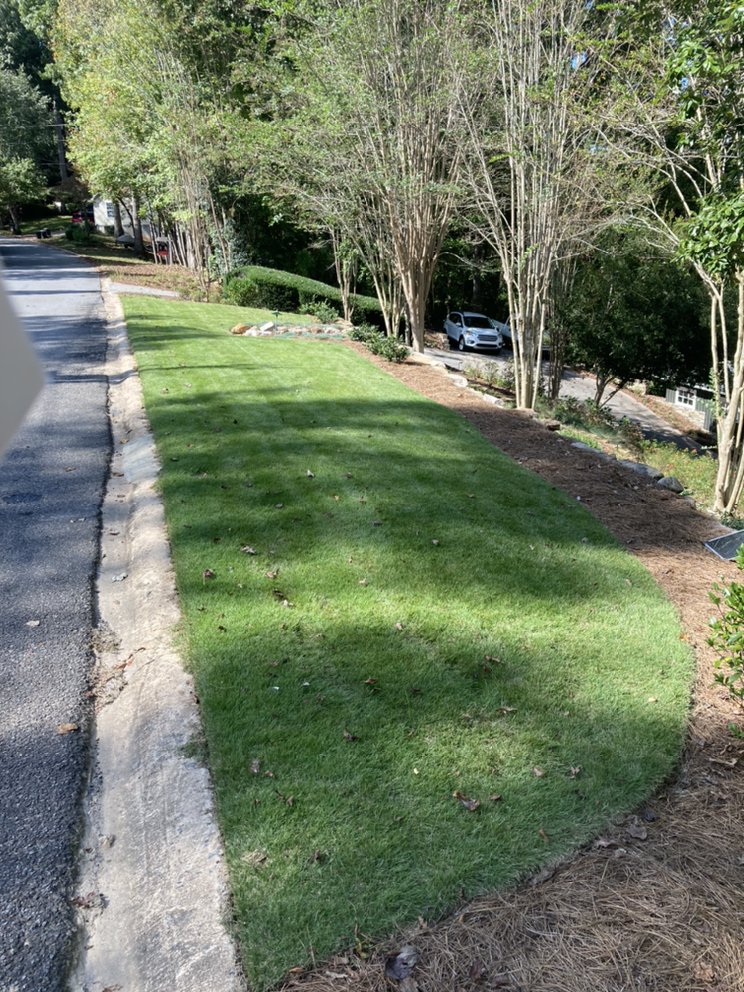 MARK MURPHY, PROFESSIONAL LANDSCAPE ARCHITECT Updated August 2024