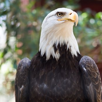 Wildlife Learning Center - Zoos Near Me - Sylmar, California Wildlife Learning Center - Zoos Near Me - Sylmar, California