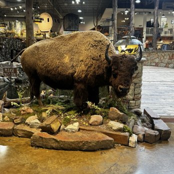 Bass Pro Shops - Grapevine - Hunting & Fishing Supplies Near Me - Grapevine, Texas