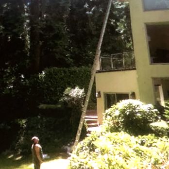Small Dog Gutters - 40 ft climb for one two ft gutter it was plugged - Gutter Services Near Me Small Dog Gutters - 40 ft climb for one two ft gutter it was plugged - Gutter Services Near Me
