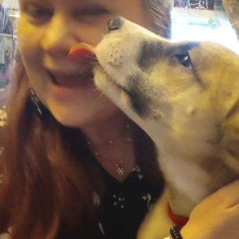 Maureen's Pawsitive Training - Pet Training Near Me