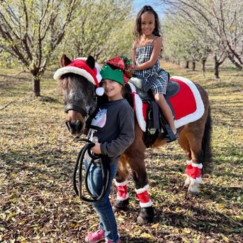 Lorina's Edible Garden - Robinson's Ponies at Christmas at the Barn - Attraction Farms Near Me - Escalon, California Lorina's Edible Garden - Robinson's Ponies at Christmas at the Barn - Attraction Farms Near Me - Escalon, California