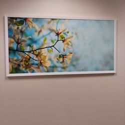 Eye Physicians Of Central Florida - Decoration