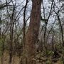 Photo of Highland Woods