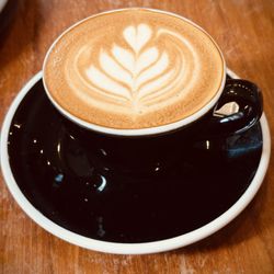 The wildcat - Oat milk flat white