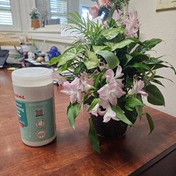 Arrangement they charges over $104 for.