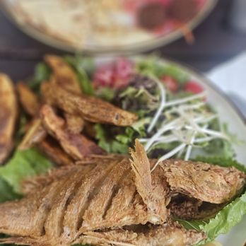 Ms Fairfax - Friday special...snapper,potato wedges & a salad - Breakfast & Brunch Near Me - Newburgh, New York Ms Fairfax - Friday special...snapper,potato wedges & a salad - Breakfast & Brunch Near Me - Newburgh, New York