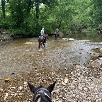 Natchez Trace Stables - Horseback Riding Near Me - Primm Springs, Tennessee Natchez Trace Stables - Horseback Riding Near Me - Primm Springs, Tennessee