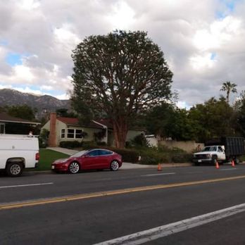 Herrera Tree Services - a white truck and a red car - Tree Services Near Me - San Francisco, California Herrera Tree Services - a white truck and a red car - Tree Services Near Me - San Francisco, California