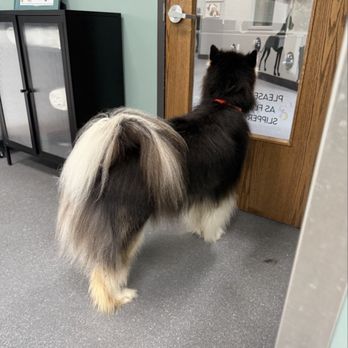 Dog Day Getaway - Pet Groomers Near Me - Apple Valley, Minnesota Dog Day Getaway - Pet Groomers Near Me - Apple Valley, Minnesota