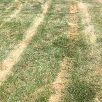 TruGreen Lawn Care - Tree Services Near Me - Randolph, New Jersey TruGreen Lawn Care - Tree Services Near Me - Randolph, New Jersey