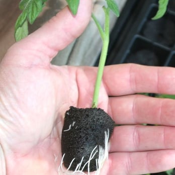 QUAIL MOUNTAIN RANCH - Updated January 2025 - 1775 Grass Valley Hwy