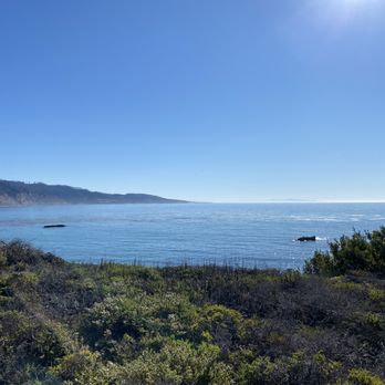 Año Nuevo State Park - Beaches Near Me - Pescadero, California