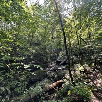 Devil's Den State Park - Parks Near Me - Winslow, Arkansas