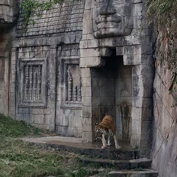 Memphis Zoo - Zoos Near Me - Memphis, Tennessee Memphis Zoo - Zoos Near Me - Memphis, Tennessee