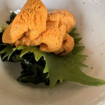 Sushi Kazu - Hokkaido uni - Japanese Near Me - San Francisco, California Sushi Kazu - Hokkaido uni - Japanese Near Me - San Francisco, California
