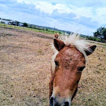 Broken Road Airbnb - Vacation Rentals Near Me - San Marcos, Texas