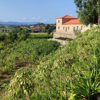 Quinta da Torre - Anselmo Mendes - Vista - Hotels Near Me - Fafe, 03 Quinta da Torre - Anselmo Mendes - Vista - Hotels Near Me - Fafe, 03