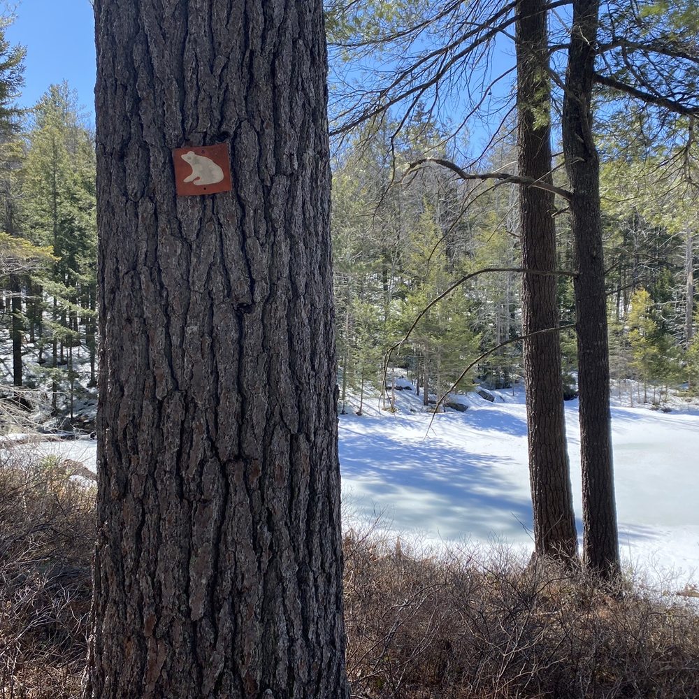 Tin Mountain Conservation Center - paths are well marked - Venues & Event Spaces Near Me - Albany, New Hampshire