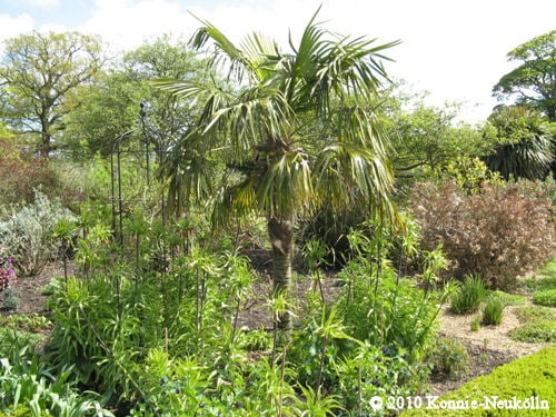 National Trust - Felbrigg Hall, Gardens & Estate by null