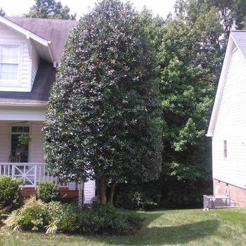 Top Notch Pruning - Tree Services Near Me - Cary, North Carolina Top Notch Pruning - Tree Services Near Me - Cary, North Carolina