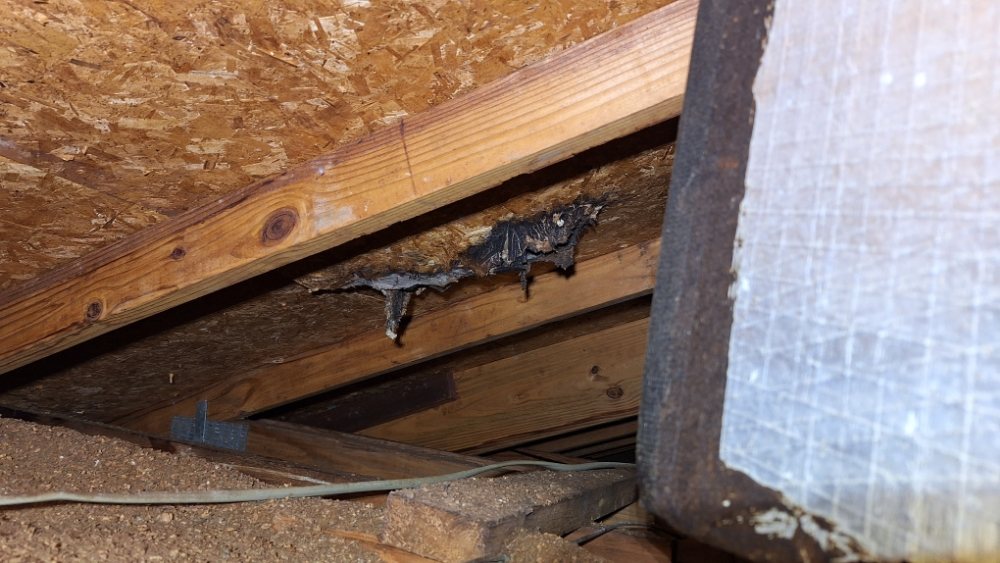 Slide of Coppinger Quality Roofing