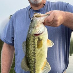 Alabama Elite Fishing Guide - Jason Whitehead
