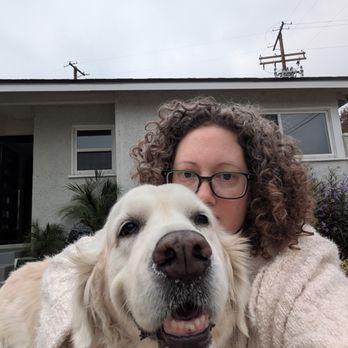 BADDogs - I have the best dog! - Pet Training Near Me - Corona, California BADDogs - I have the best dog! - Pet Training Near Me - Corona, California