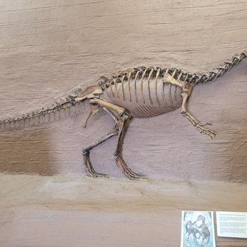Dinosaur Museum - Museums Near Me - Blanding, Utah