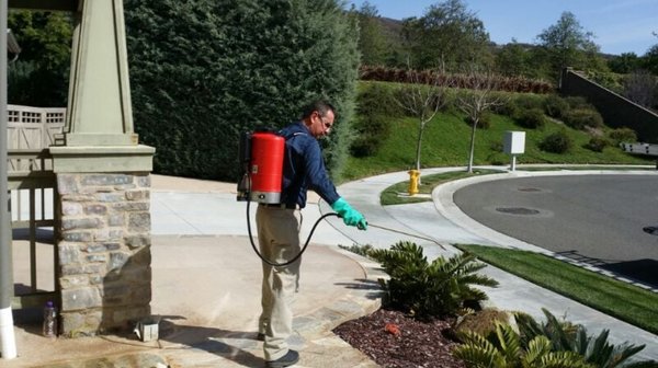 Pest Control Specialists - At Gaines Pest Control, our pest control specialists understand how unsettling and unnerving the discovery of a pest infestation issue can be. No one wants to face the grim reality of having rats, cockroaches, or bedbugs running around inside their walls, professional kitchen, or, for that matter, anywhere they consider home or work. Ignoring the problem will not make it go away, and this is why Gaines Pest Control's San Diego area pest control specialists are dedicated to offering as much information about pests as possible so that you know what you are up against and can relax, knowing that our pest control specialists from Gaines Pest Control have a solution to your unfortunate pest control problem.
