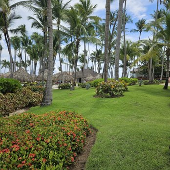 The Level - Resorts Near Me - Punta Cana, UM The Level - Resorts Near Me - Punta Cana, UM